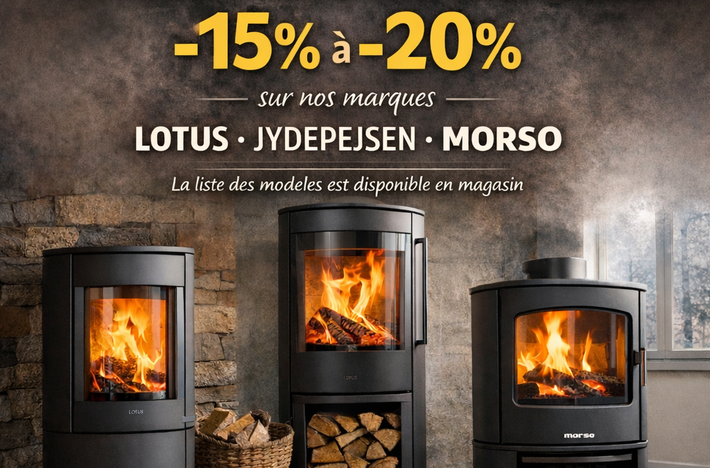 PROMOTION SUR NOS POÊLES SCANDINAVES EN ACIER