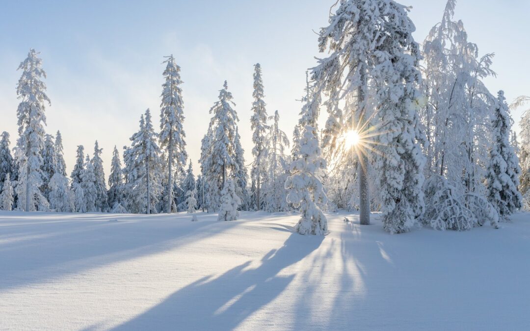 N&rsquo;attendez plus,l&rsquo;hiver arrive !